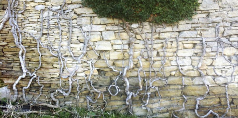 Sauvegarde des murs en pierres sèches