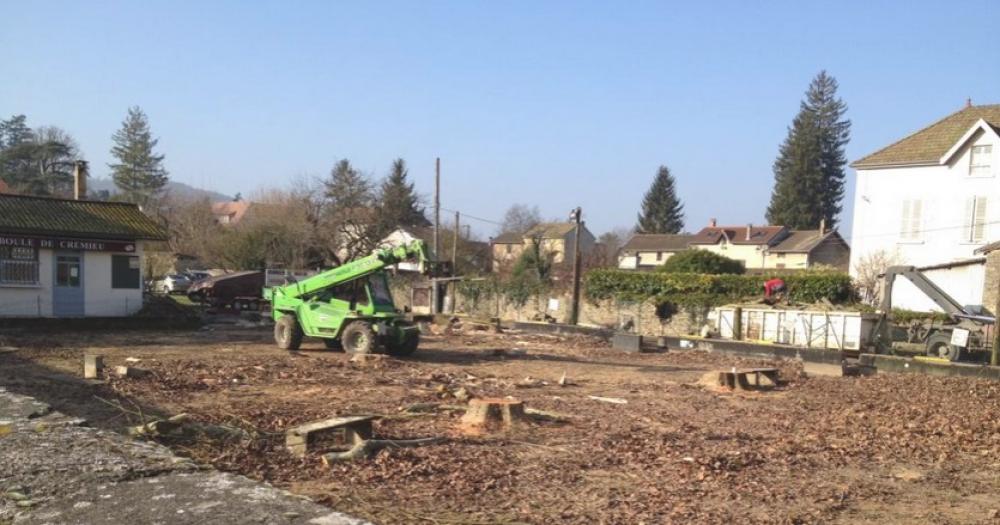 Une Motion pour les arbres