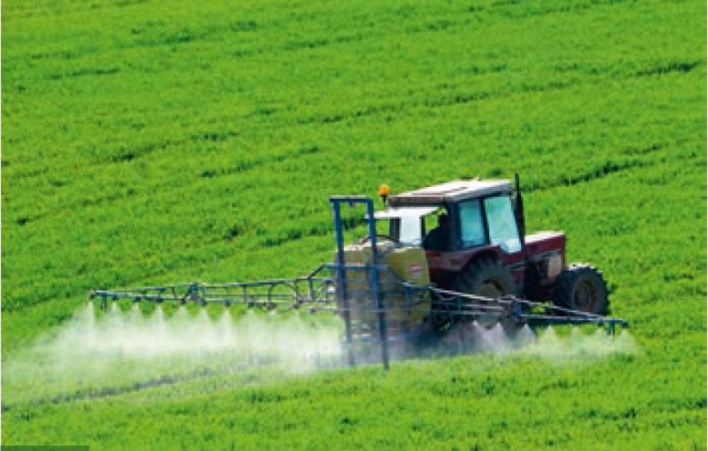 La longue route vers le Zéro Phyto