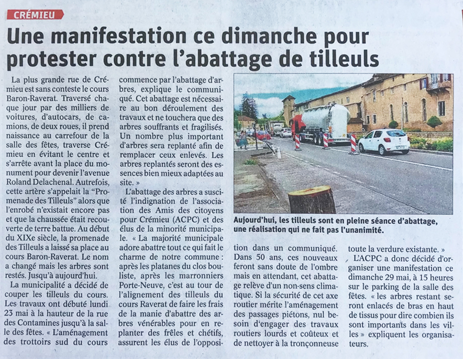 Abattage des tilleuls cours Baron Raverat